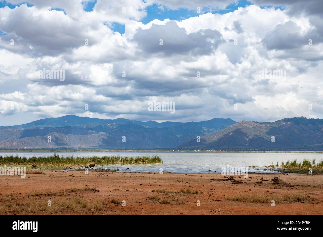 Il lago Jipe confina con la Tanzania e il Kenya, l'Africa. Foto Stock