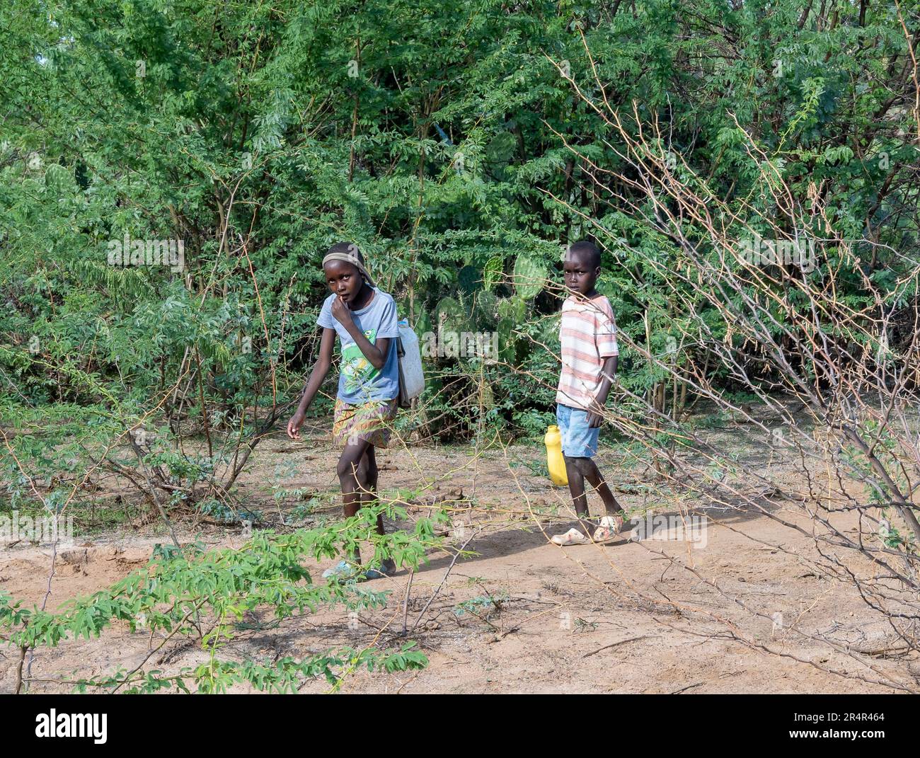 Due bambini che trasportano brocche d'acqua attraverso i cespugli. Kenya, Africa. Foto Stock