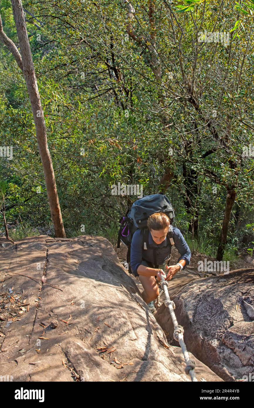 Donna che sale attraverso le scogliere accanto alle cascate di Zoe sul Thorsborne Trail Foto Stock