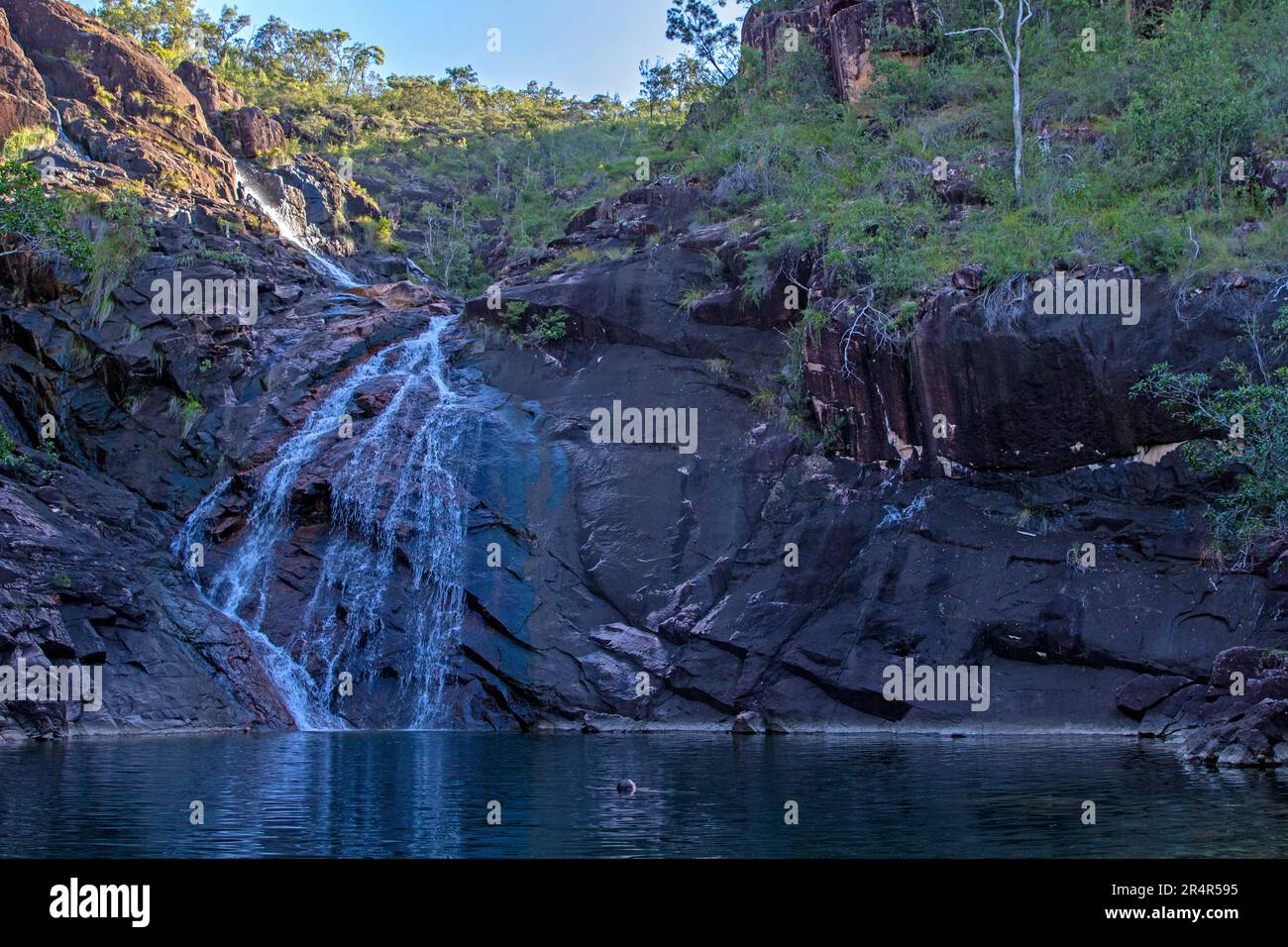 Cascate di Zoe, Hinchinbrook Island Foto Stock