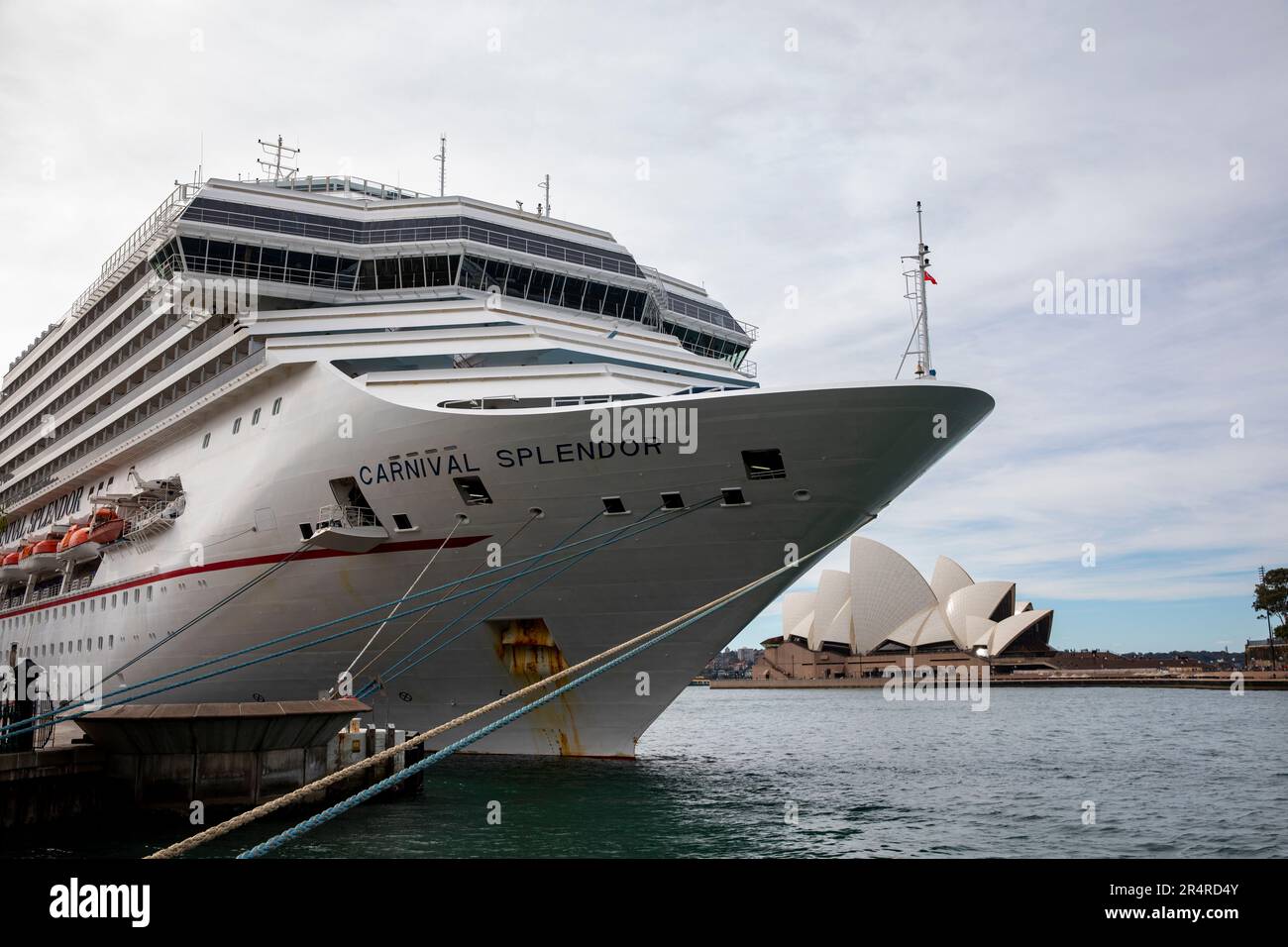 Nave da crociera Carnival Splendor ormeggiata al terminal passeggeri Overseas, Circular Quay, Sydney, NSW, Australia Foto Stock