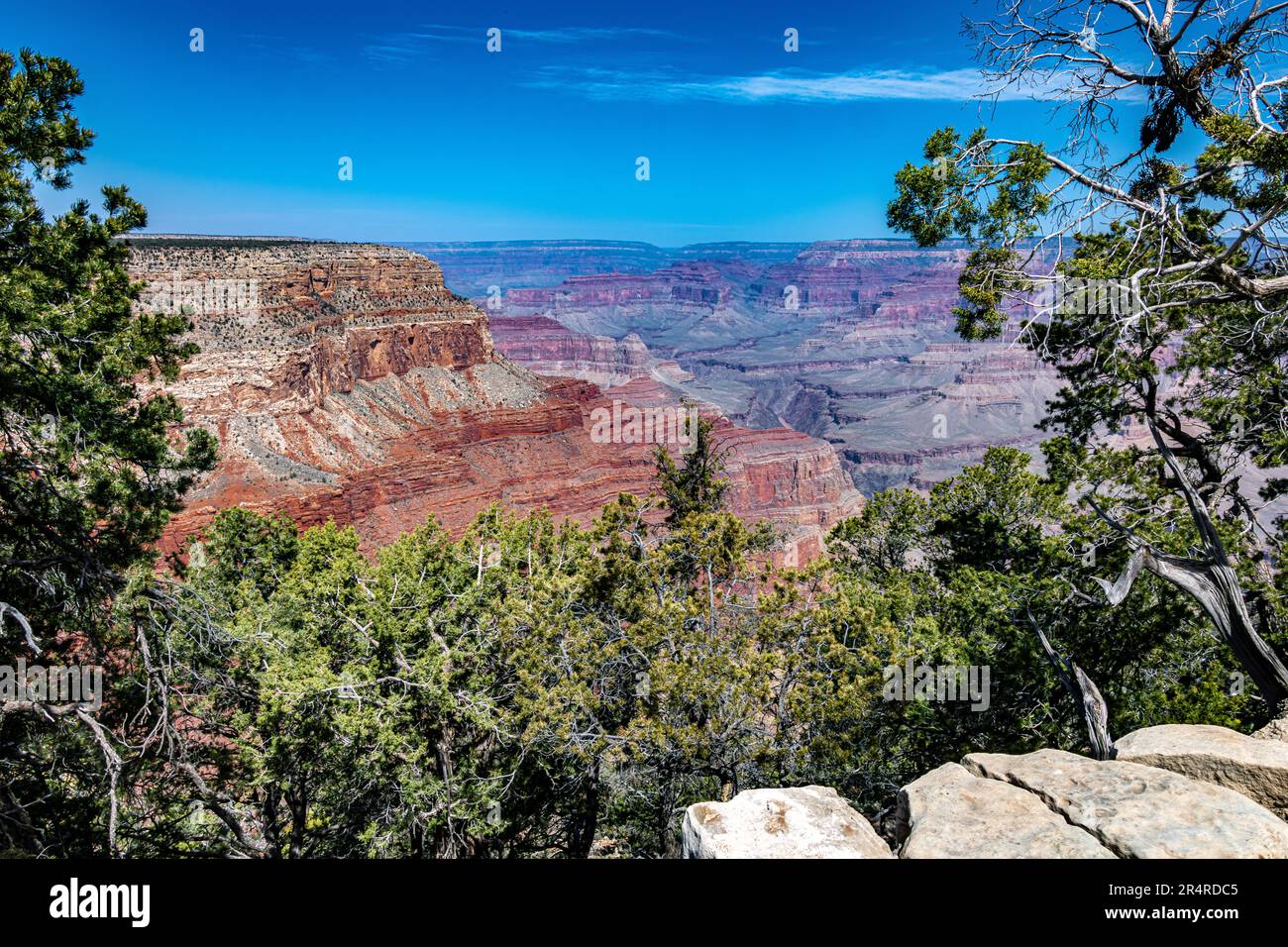South Rim del Grand Canyon in primavera Foto Stock