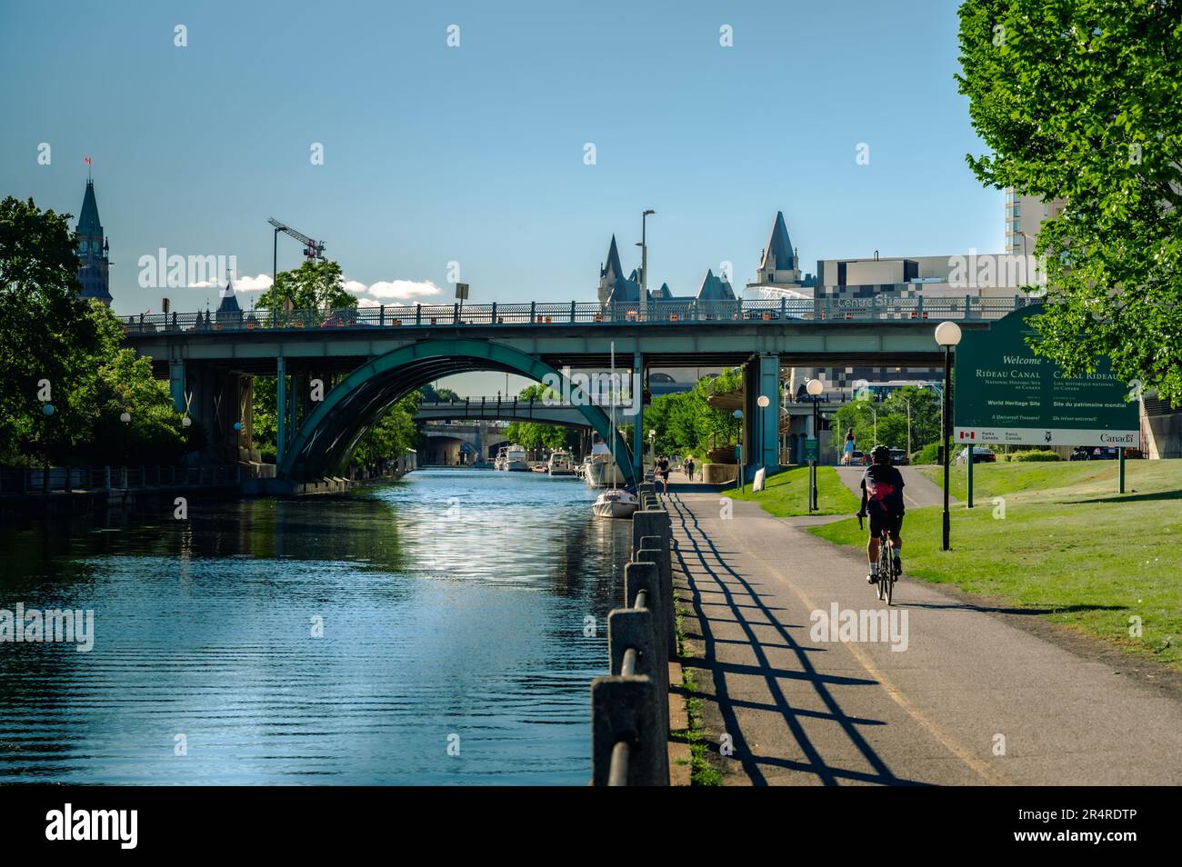 Uomo in bicicletta lungo il canale Rideau, giorno d'estate, Ottawa, Ontario, Canada Foto Stock