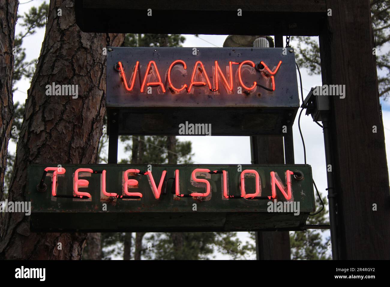 Vintage Neon segni vicino Motel e cabine in Rural East Tx Foto Stock