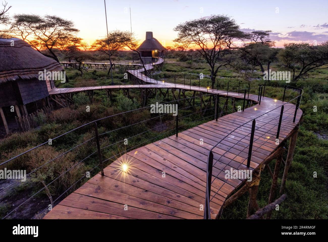 Alba al campo di Onguma Kala - Onguma Game Reserve, Namibia, Africa Foto Stock