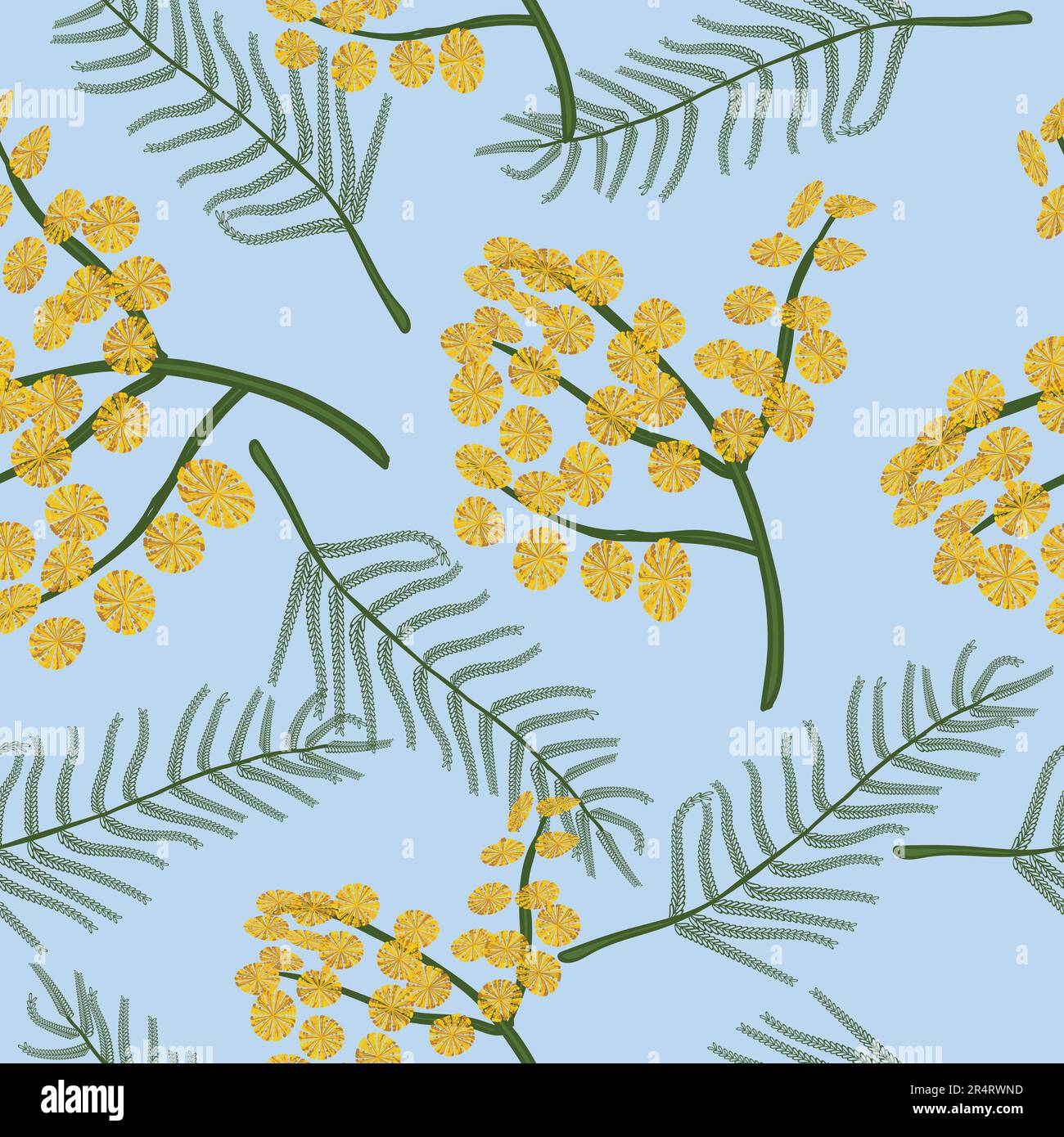 Modello di acacia dealbata senza cuciture. Texture di ripetizione vettoriale senza giunture a molla. Cosmetica, profumeria e pianta medica. Disegno vettoriale a mano Illustrazione Vettoriale