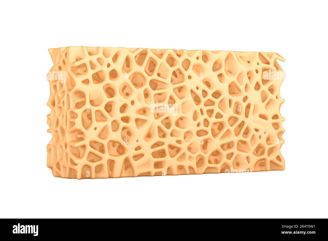 Struttura ossea spugnosa Medical Texture Block estrema closeup. rendering 3D Foto Stock