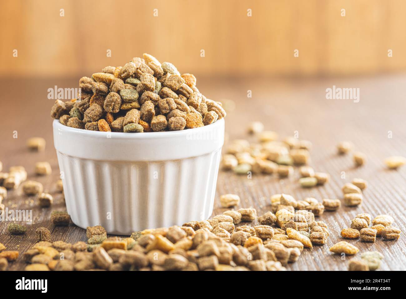 Pappe per animali domestici a secco. Cibo per cani o gatti in una ciotola sul tavolo di legno. Foto Stock