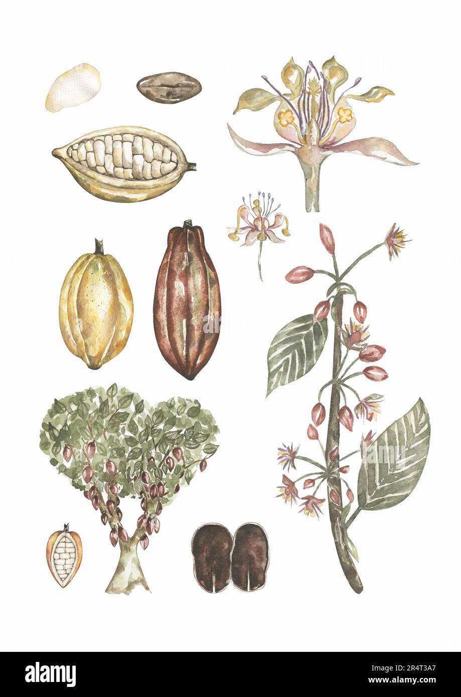 Berretto La Sportiva Circle X40635723 | Cisalfa Sport - Foto 6