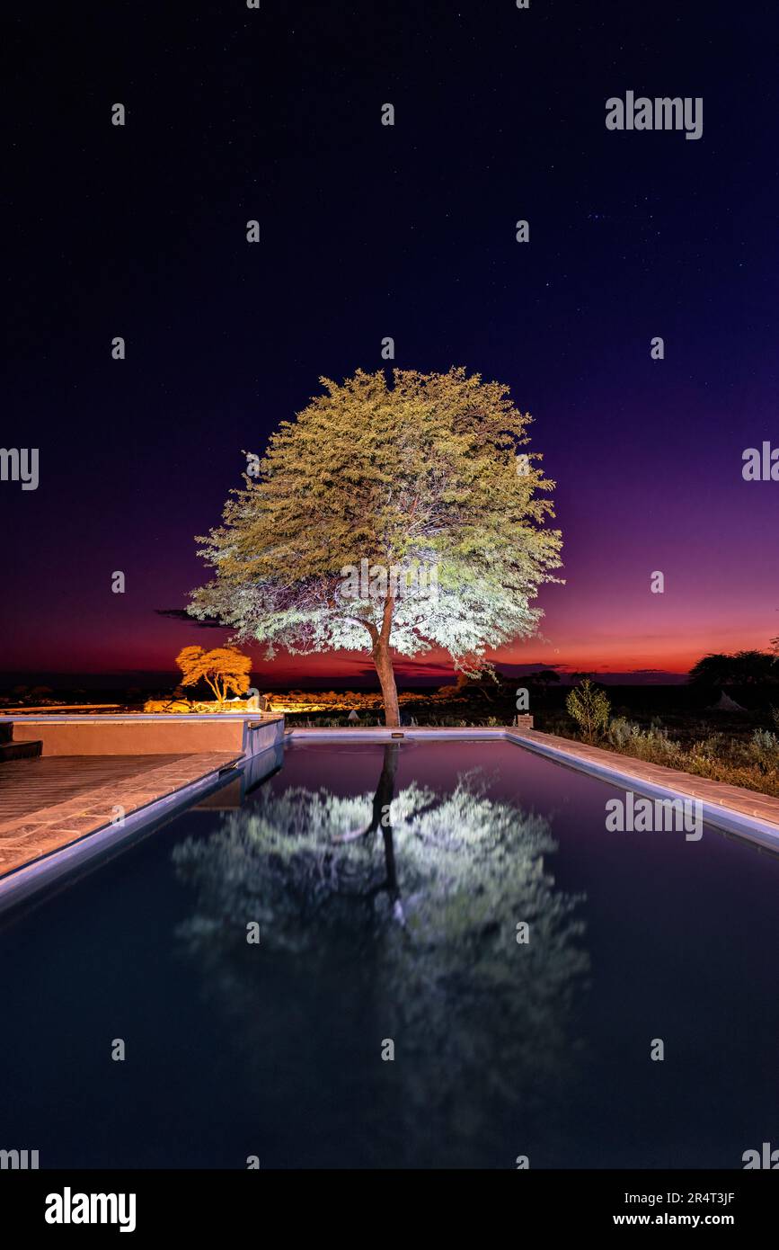 Riflessi piscina e cielo notturno a Onguma the Fort, Onguma Game Reserve, Namibia, Africa Foto Stock