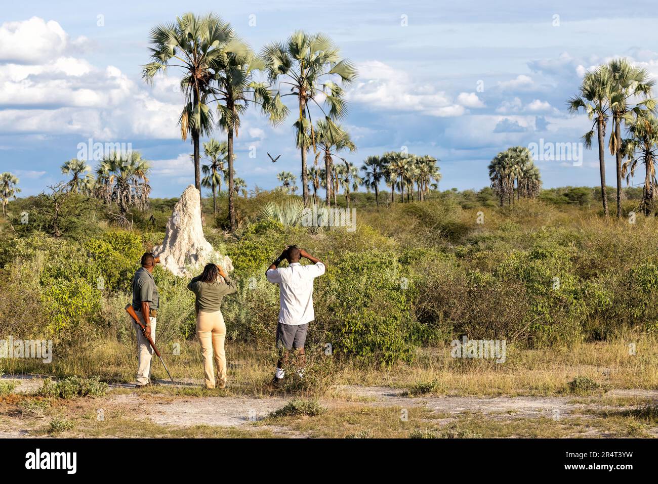 Birdwatching sulla passeggiata interpretativa Bush presso la riserva di gioco di Onguma, Namibia, Africa Foto Stock