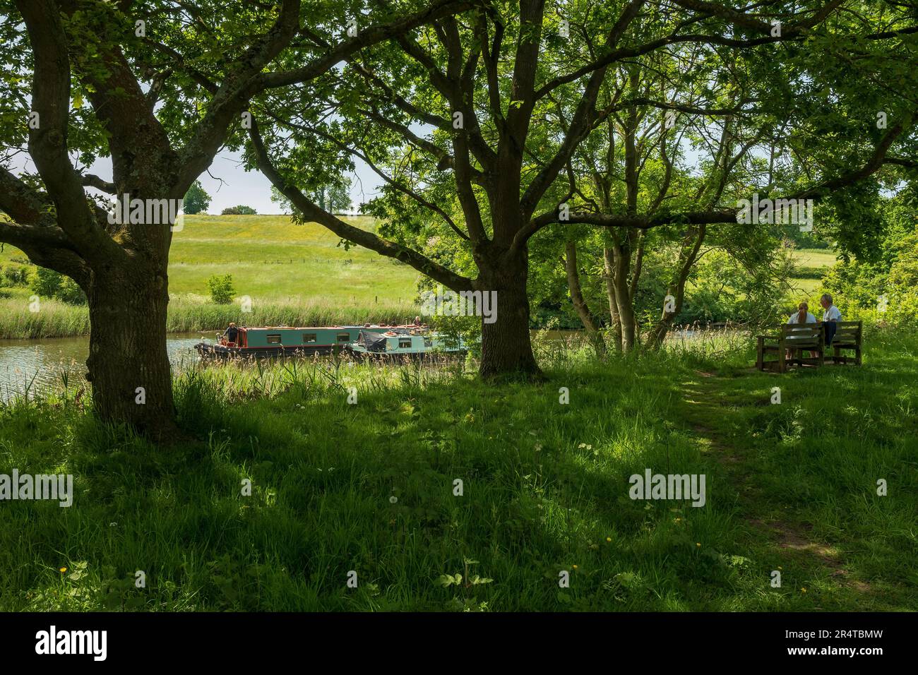 Due chiatte sul canale Weaver Navigstion a Dutton in Cheshire. Una scena pastorale da un tempo. Foto Stock