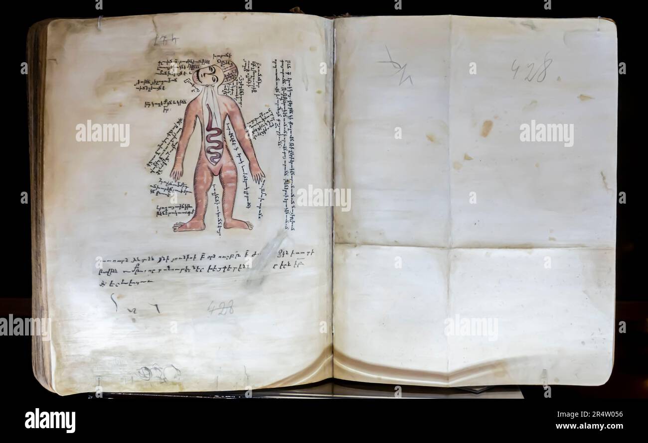 Amirdovlat Amasiatsi XV secolo - libro medico. Costantinopoli. Manoscritto del 1459. Autografo. Antichi libri armeni Foto Stock
