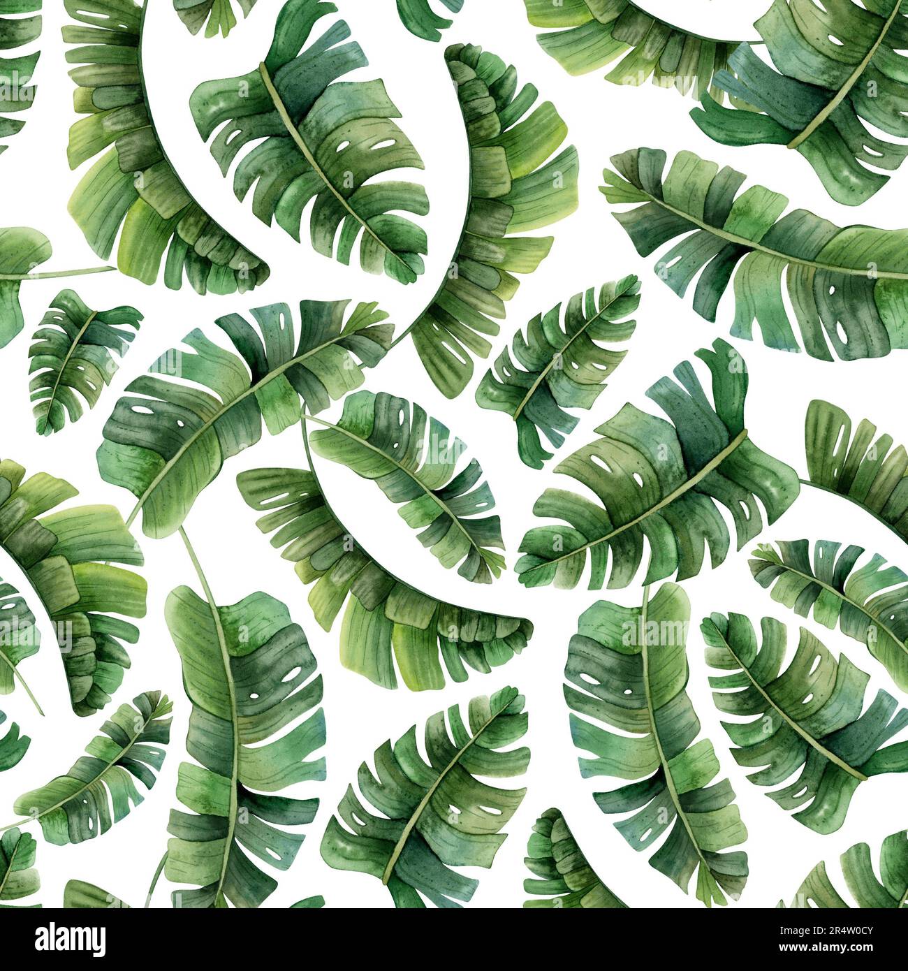 Palme tropicali foglie acquerello senza cuciture motivo su sfondo bianco con piante verdi giungla. Natura esotica disegnata a mano per stampe, tessuti o tappezzeria Foto Stock