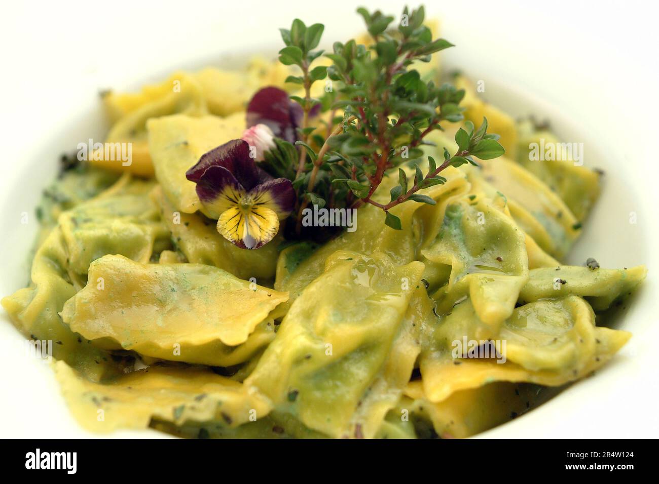 Ricette della cucina italiana, Ricotta ripiena di ravioli, ripiena di ricotta e germoglia di ortica in salsa di timo. Foto Stock