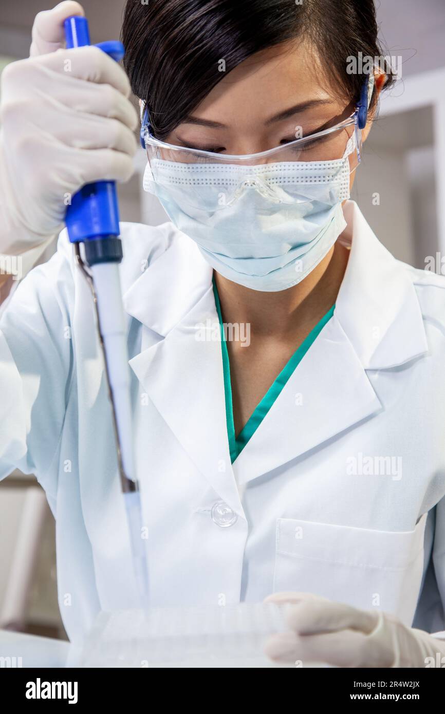 Donna asiatica cinese scienziato medico femminile, ricercatore scientifico o medico utilizzando una pipetta e vassoio cellulare in un laboratorio di ricerca medica o laboratorio Foto Stock