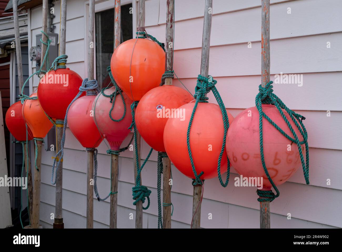 Una fila di pennarelli in gomma arancione per reti da pesca legati a lunghi bastoni di legno con corda verde. Le boe da pesca vengono utilizzate per contrassegnare la posizione dei pesci Foto Stock