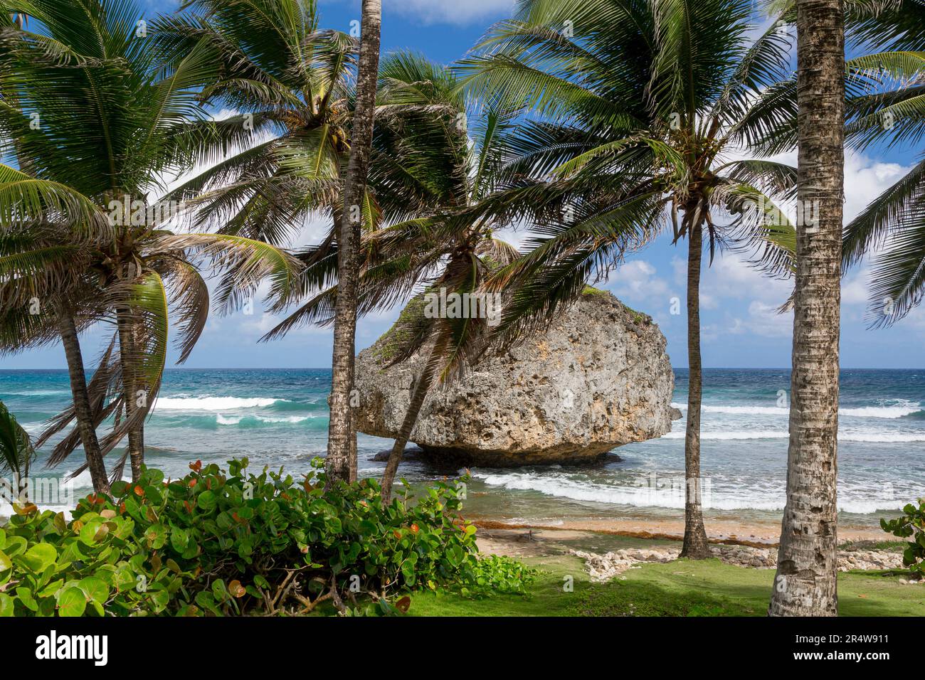 Bathsheba Rock sulla spiaggia nella città di Bathsheba, Barbados, Indie Occidentali Foto Stock