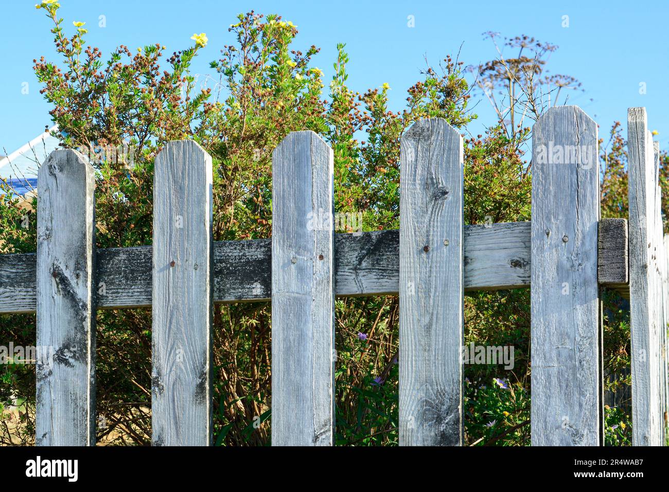 Ronseal Intemperie 10 Anno Legno Esterno Vernice Lucida 750