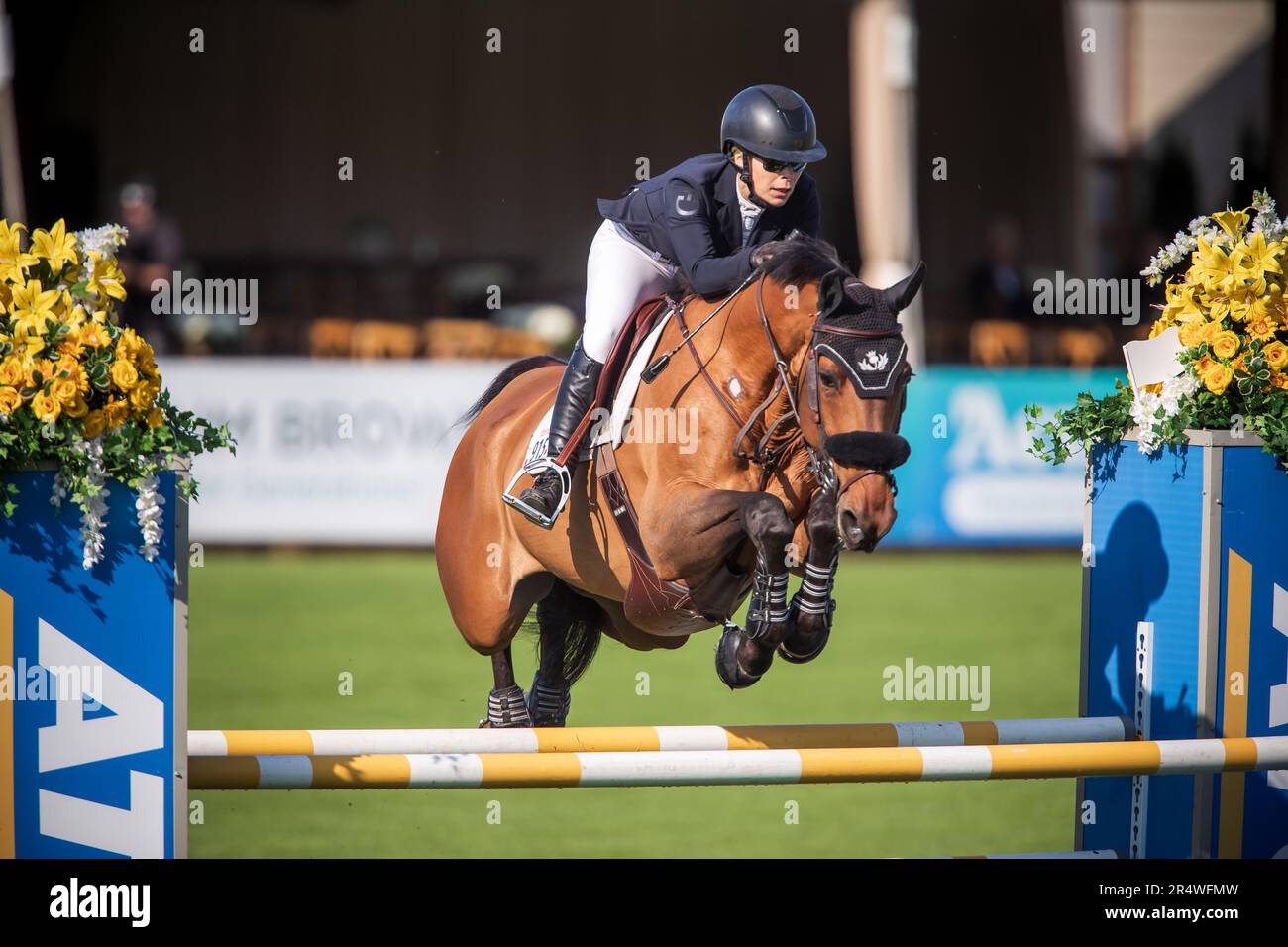 Susan Horn of Canada compete durante l'evento Major League Show Jumping a Langley, B.C., il 25 maggio 2023, Foto Stock