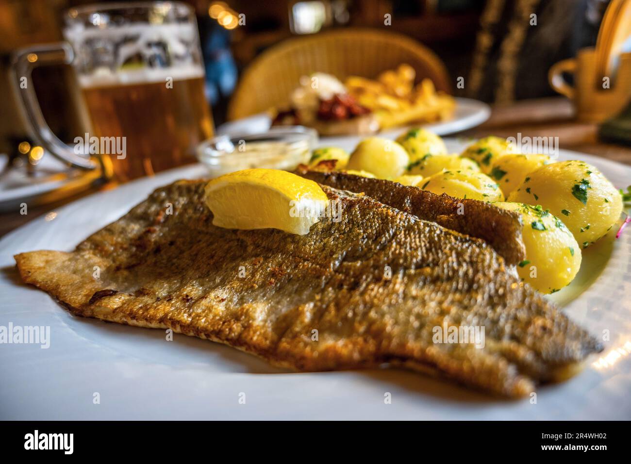 Pesce zander fritto d'oro con patate, birra al tavolo del ristorante. Foto Stock