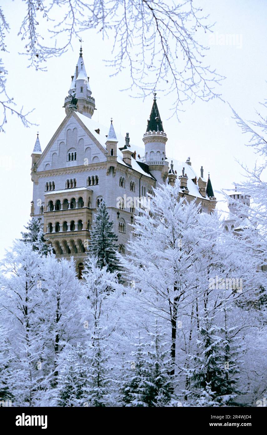 Germania. Baviera. Castello di Neuschwanstein nella neve. Foto Stock