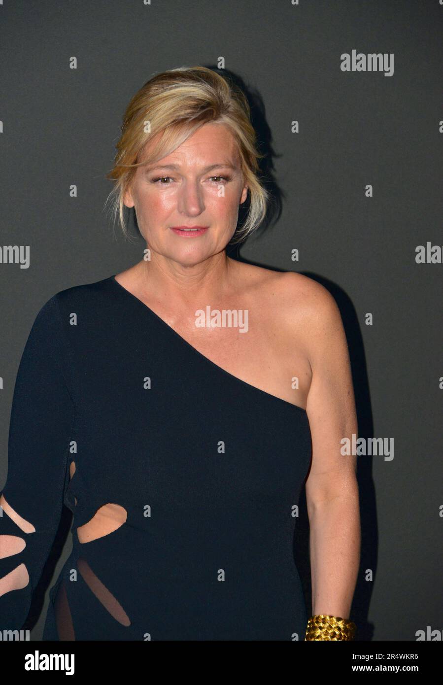 Anne-Élisabeth Lemoine Fotocall della serata del "Women in Motion Award" di Kering, Place de la Castre, colline du Suquet 76th Festival del Cinema di Cannes 21 maggio 2023 Foto Stock