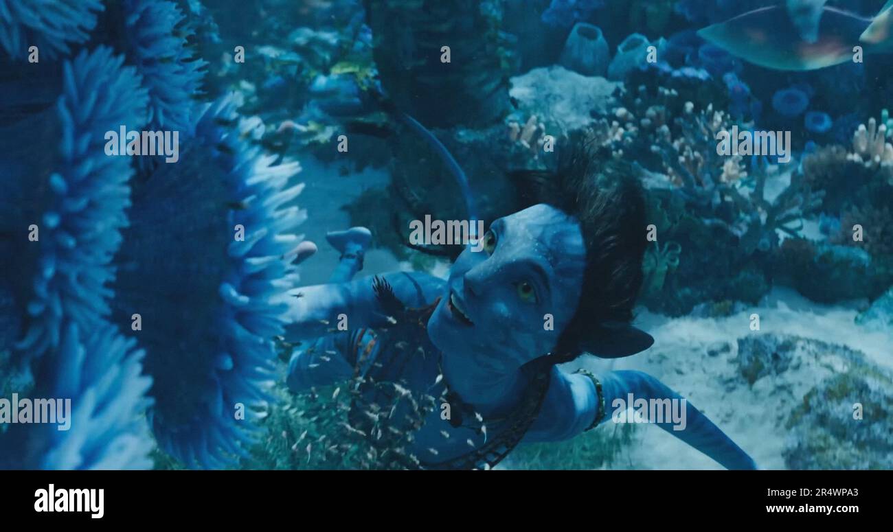 Avatar: The Way of Water anno : 2022 USA regista : James Cameron Sigourney Weaver Foto Stock