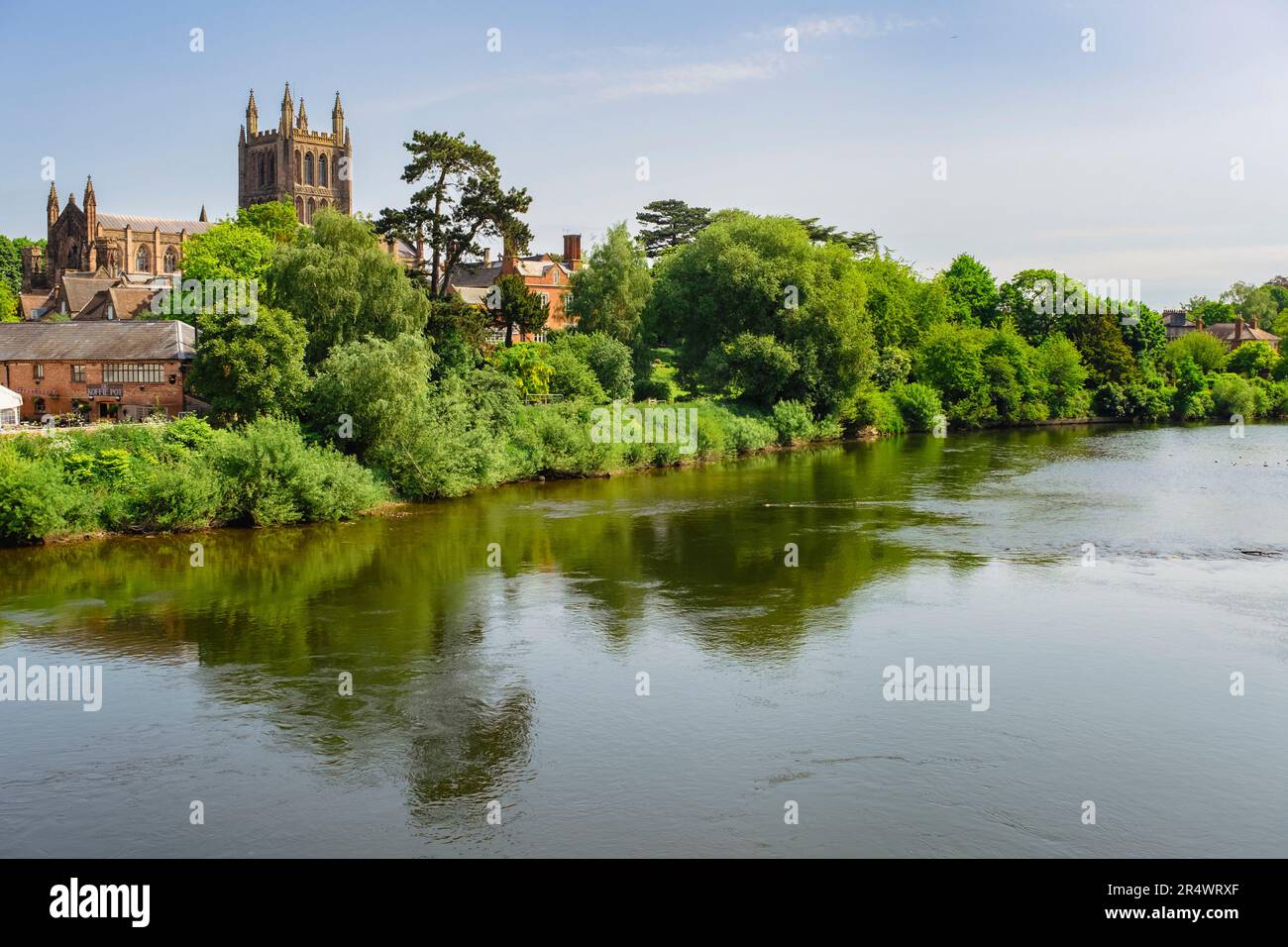 Vista sul fiume Wye che riflette la cattedrale di Santa Maria Vergine a Hereford, Herefordshire, Inghilterra, Regno Unito, Gran Bretagna Foto Stock