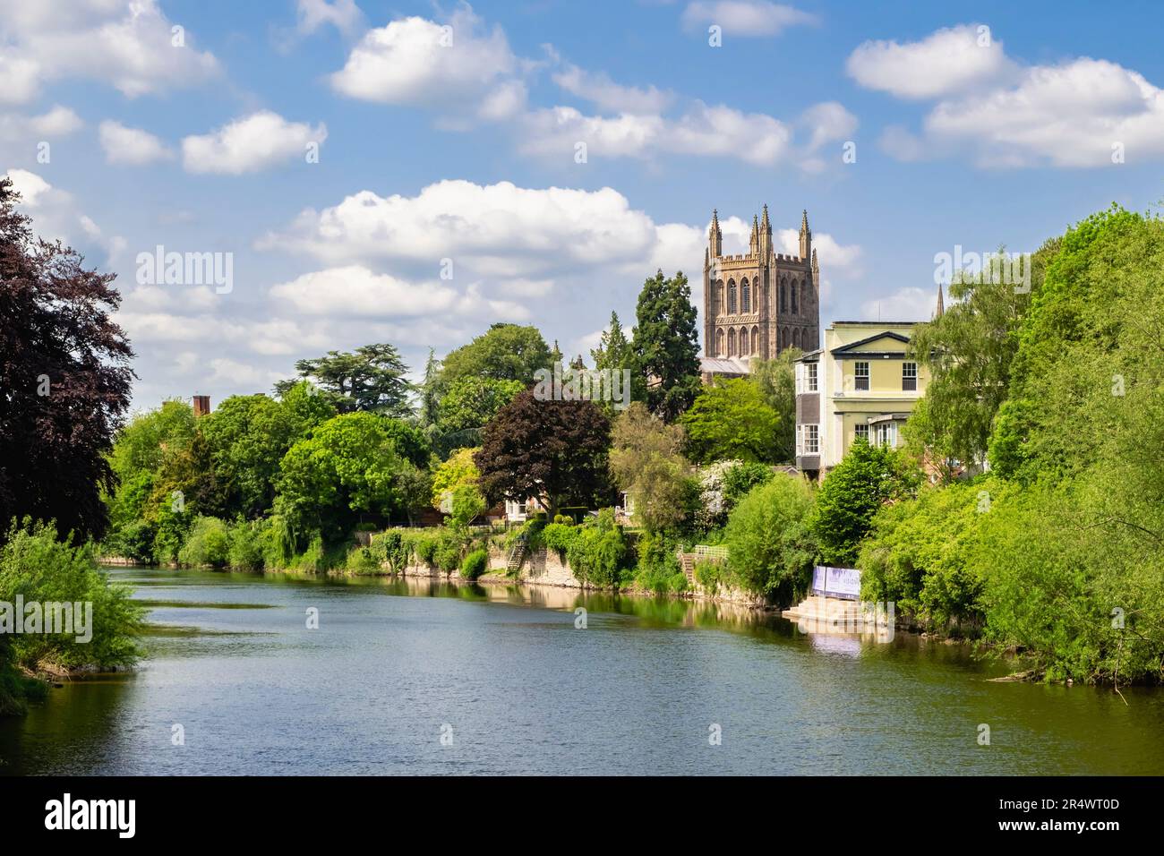 Vista sul fiume Wye fino alla Cattedrale di Santa Maria Vergine a Hereford, Herefordshire, Inghilterra, Regno Unito, Gran Bretagna Foto Stock