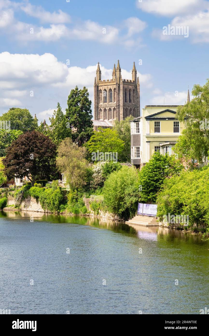 Vista sul fiume Wye fino alla Cattedrale di Santa Maria Vergine a Hereford, Herefordshire, Inghilterra, Regno Unito, Gran Bretagna Foto Stock