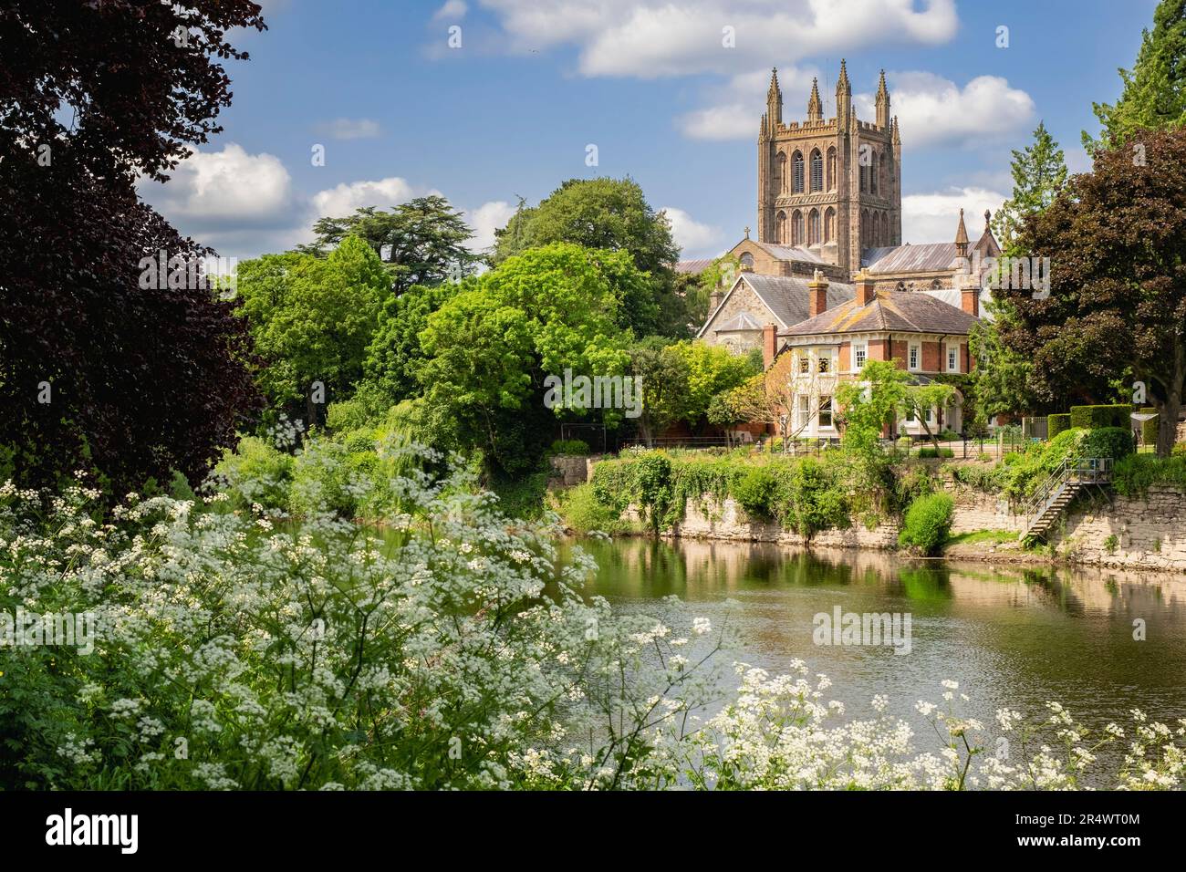 Vista sul fiume Wye fino alla Cattedrale di Santa Maria Vergine a Hereford, Herefordshire, Inghilterra, Regno Unito, Gran Bretagna Foto Stock