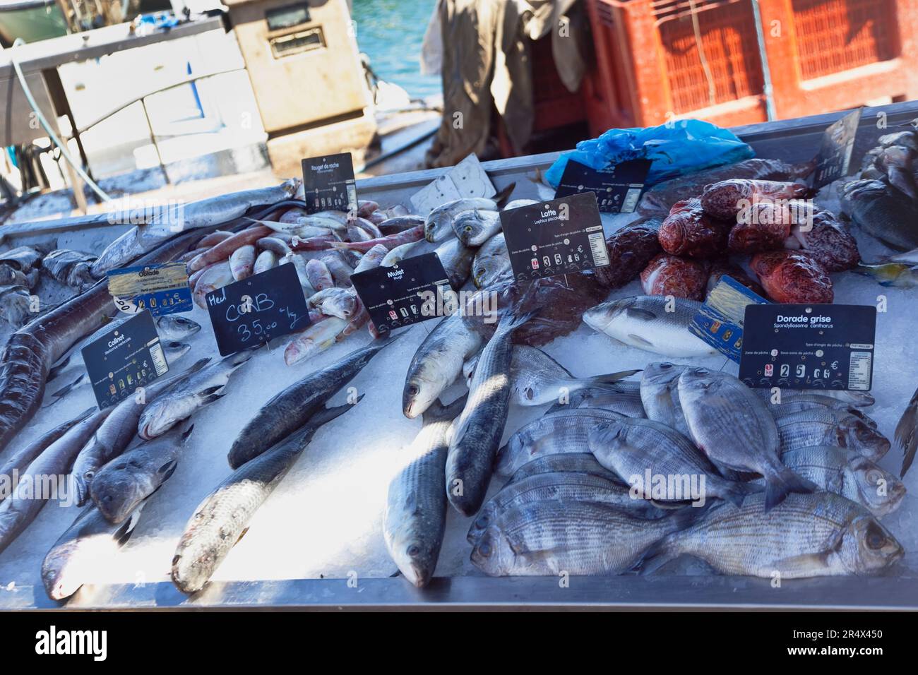 Francia, Provenza-Alpi, Costa Azzurra, Antibes, pesce fresco pescato in vendita nel porto turistico. Foto Stock