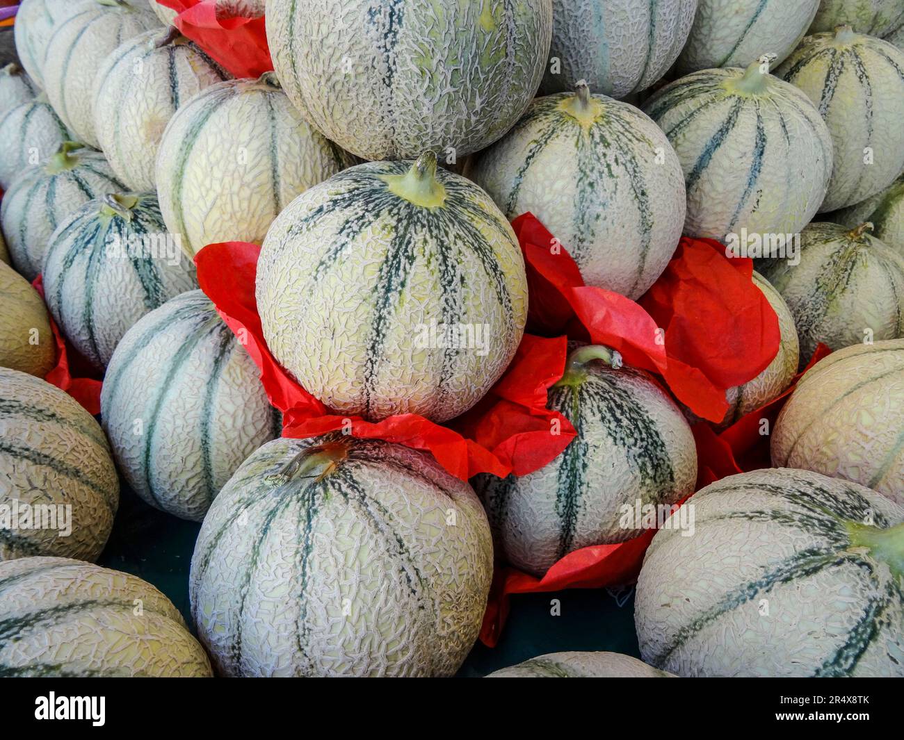 Primo piano immagine del modello di frutta / cibo di Cucamis melo ‘Ogen’ in uno stand di mercato a Parigi con accento di seperatori di carta tissue rossa. Succulento e dolce Foto Stock