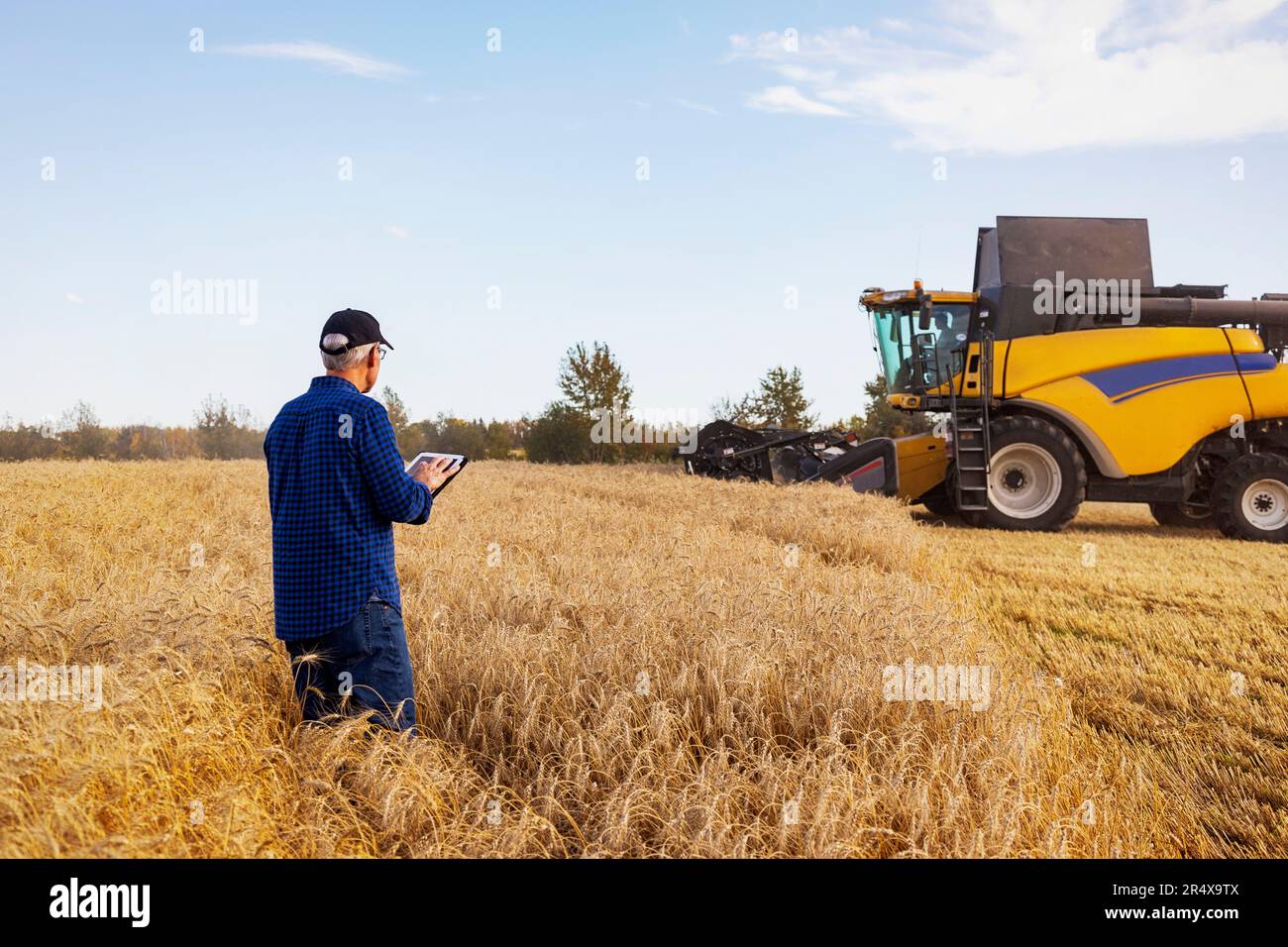Agricoltore che utilizza un tablet per gestire il raccolto di grano con una mietitrebbia che lavora sullo sfondo; Alcomdale, Alberta, Canada Foto Stock