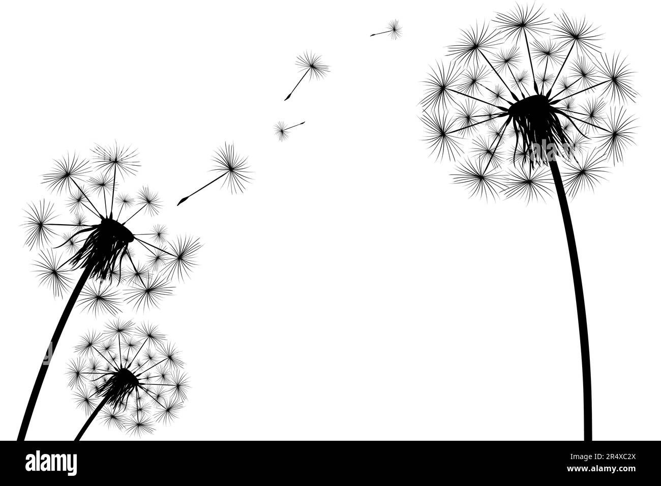 Silhouette di un semplice dente di leone Illustrazione Vettoriale