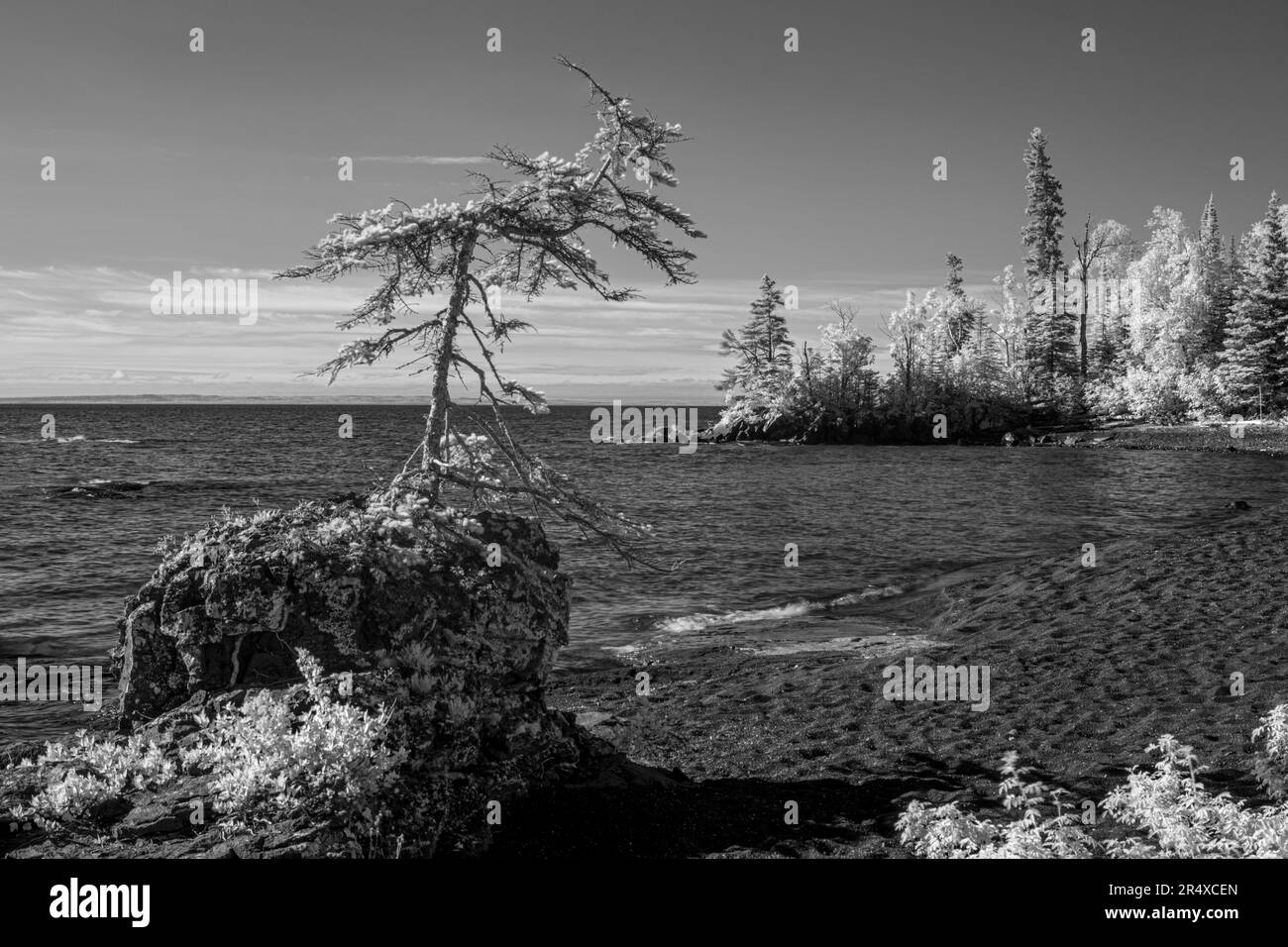 Infrarossi di alberi che costeggiano le rive del lago superiore; Thunder Bay, Ontario, Canada Foto Stock