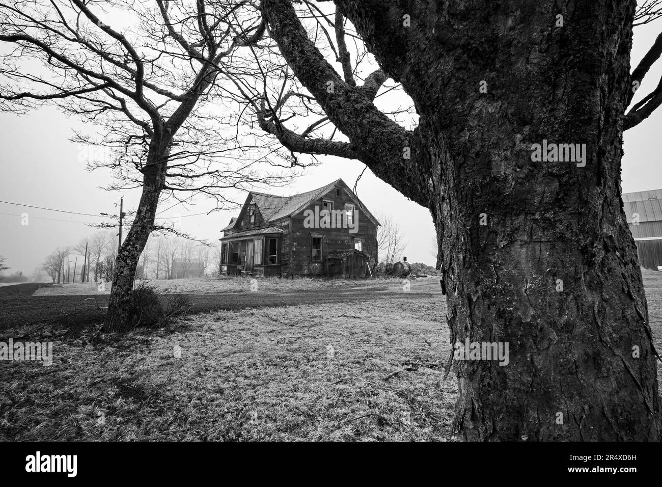 Casa abbandonata in campagna con un tronco d'albero in primo piano; Bear River, nuova Scozia, Canada Foto Stock