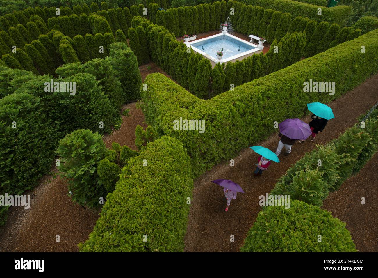 La famiglia con ombrelloni cammina attraverso un labirinto di giardini; Luray, Virginia, Stati Uniti d'America Foto Stock