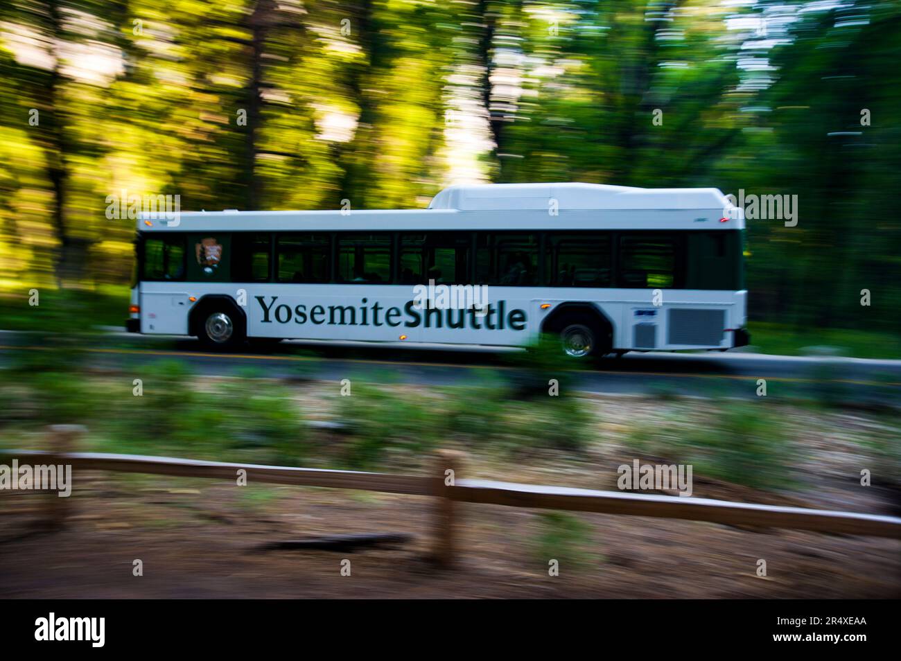 Autobus turistico ibrido diesel elettrico nel parco nazionale di Yosemite nello Utah, Stati Uniti; Utah, Stati Uniti d'America Foto Stock