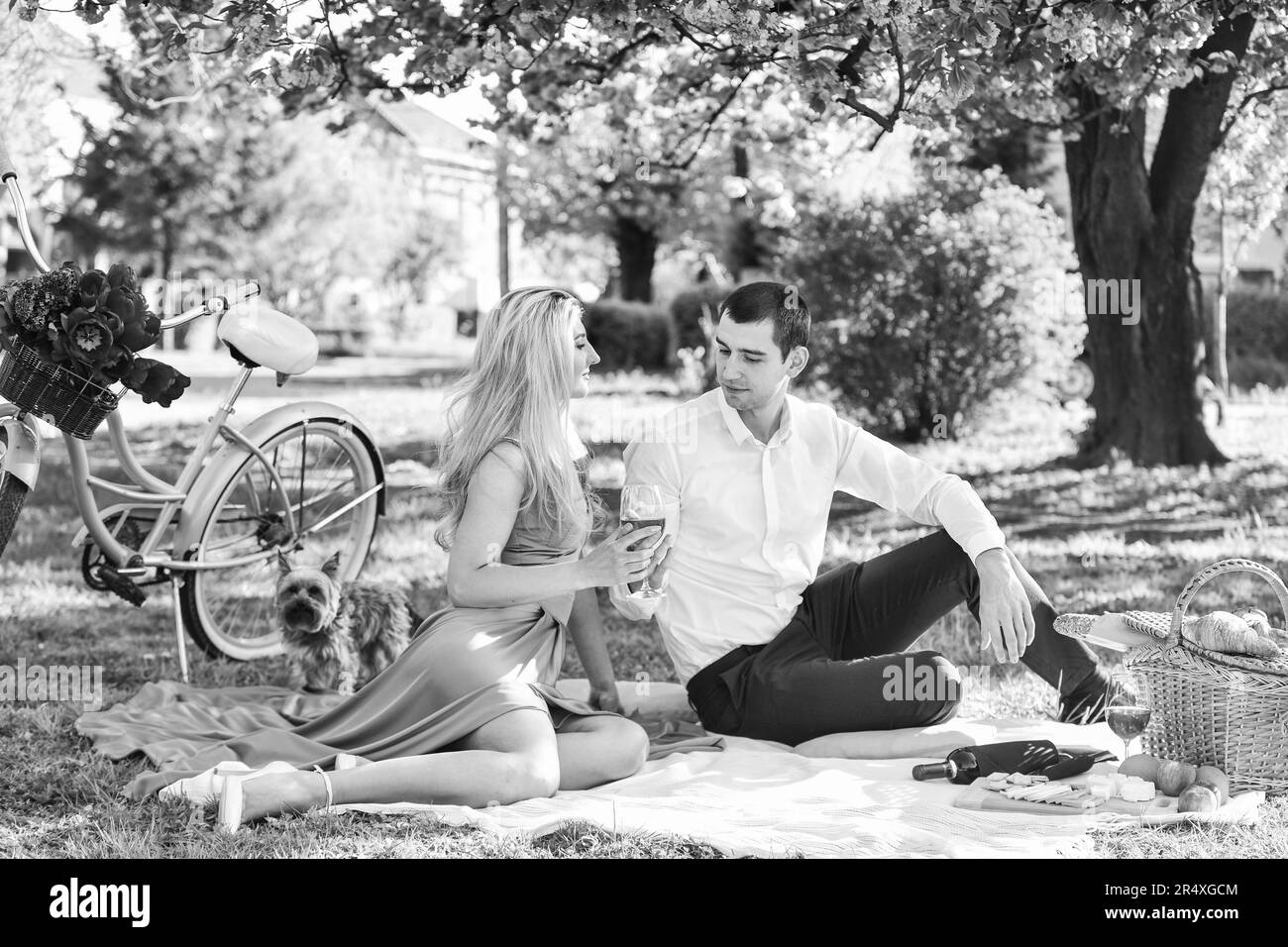 Per sempre il vostro. Fare un picnic nel parco cittadino. L'uomo e la donna si rilassano con il cestino del cibo. Coppia romantica sotto l'albero dei fiori di sakura. Coppia innamorata Foto Stock