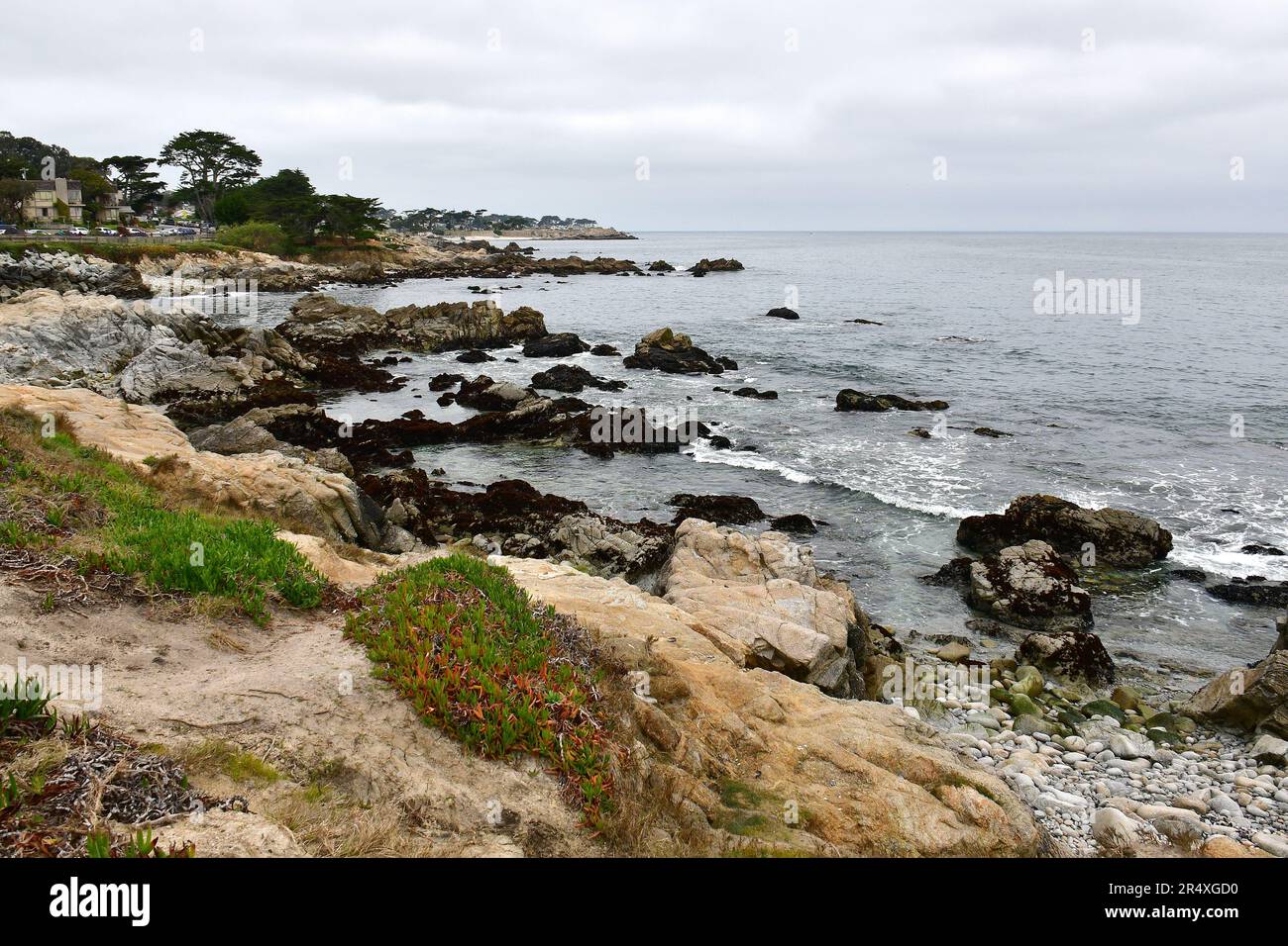 Coast, Lovers Point, state Marine Reserve, Monterey Bay National Marine Sanctuary, Monterey Bay, Monterey, Monterey County, California, Stati Uniti, America Foto Stock