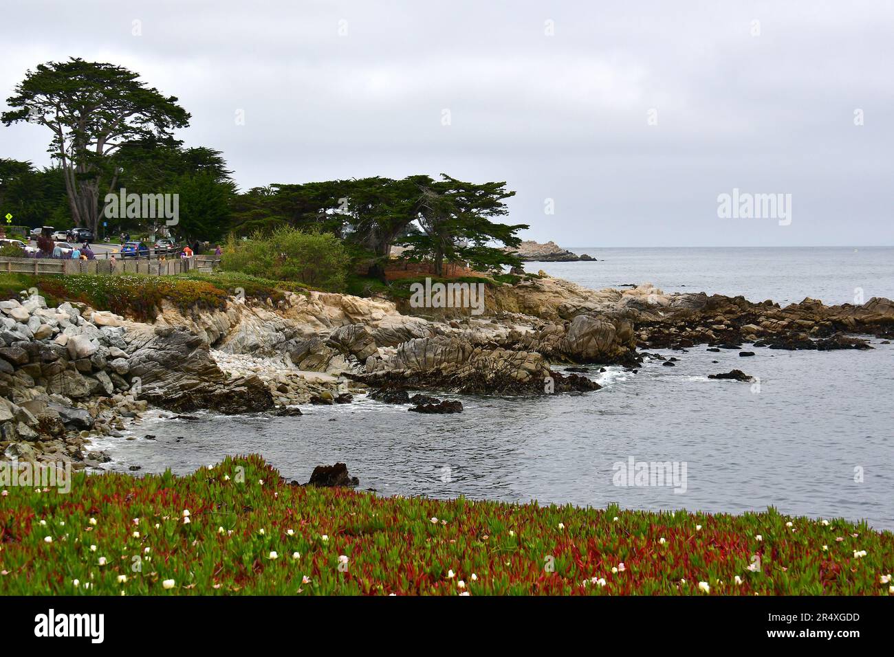 Coast, Lovers Point, state Marine Reserve, Monterey Bay National Marine Sanctuary, Monterey Bay, Monterey, Monterey County, California, Stati Uniti, America Foto Stock