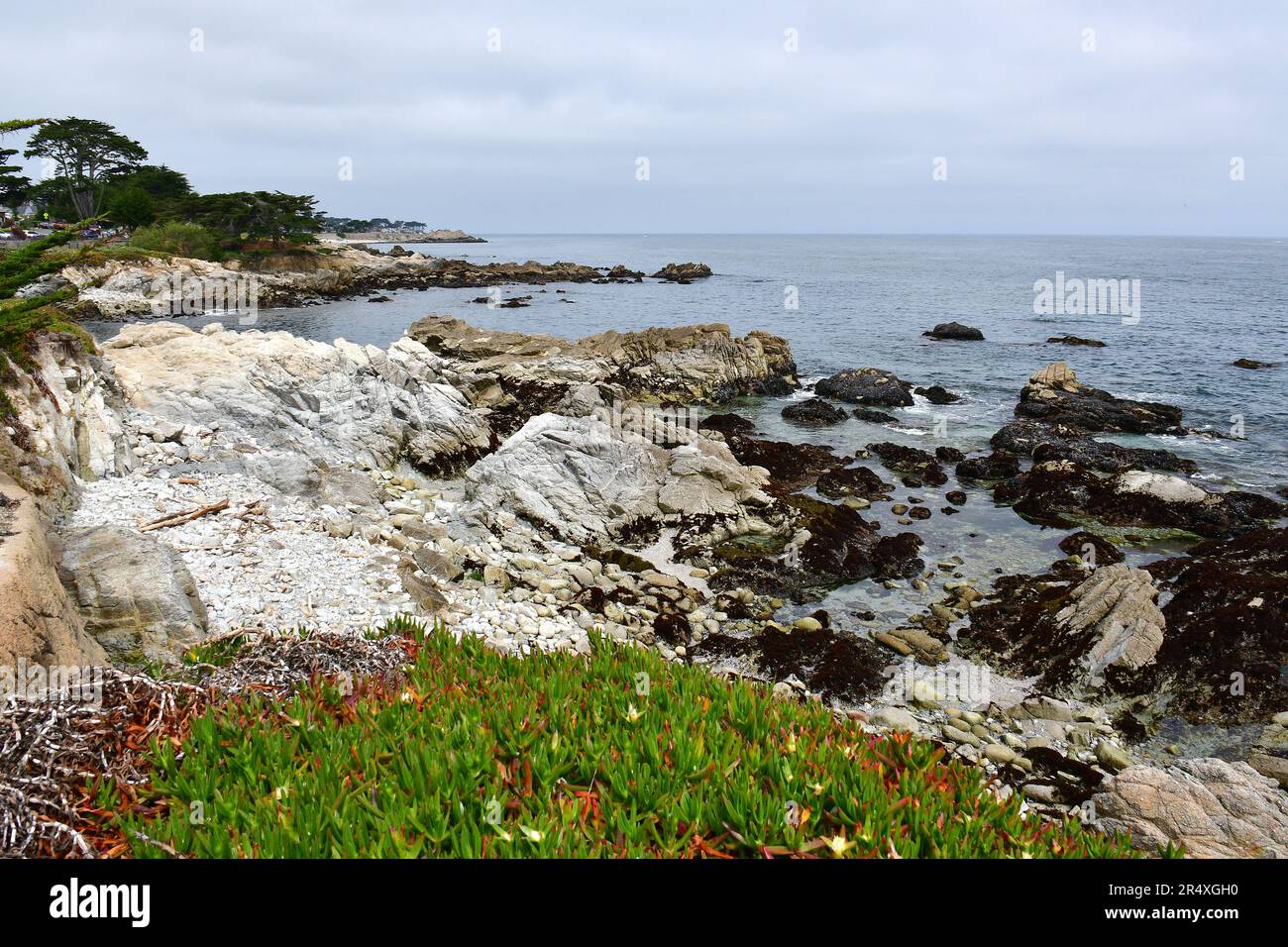 Coast, Lovers Point, state Marine Reserve, Monterey Bay National Marine Sanctuary, Monterey Bay, Monterey, Monterey County, California, Stati Uniti, America Foto Stock