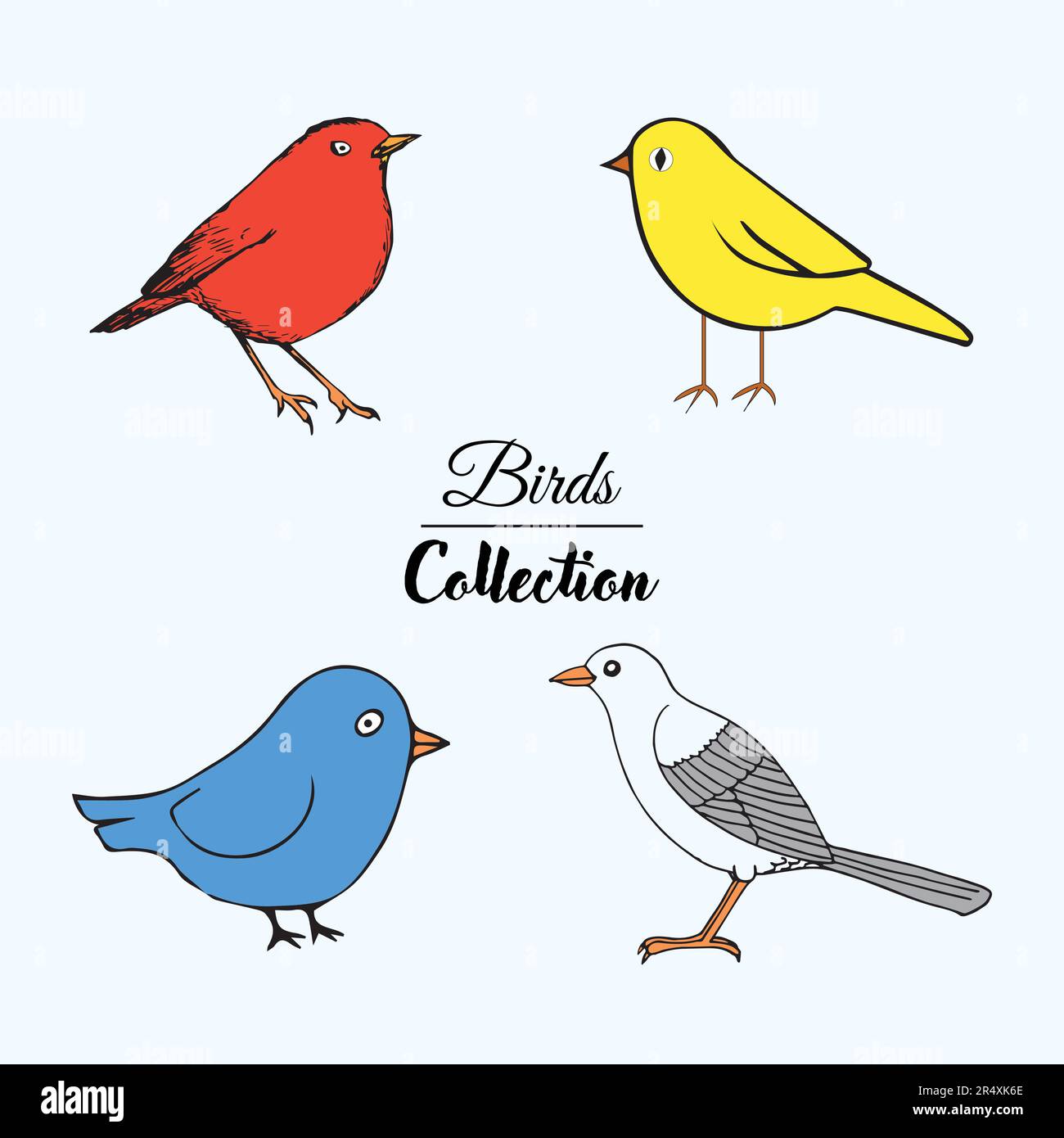 Collezione di uccelli vettoriali. Rosso, giallo, blu, bianco carino Bird Set. Illustrazione Vettoriale