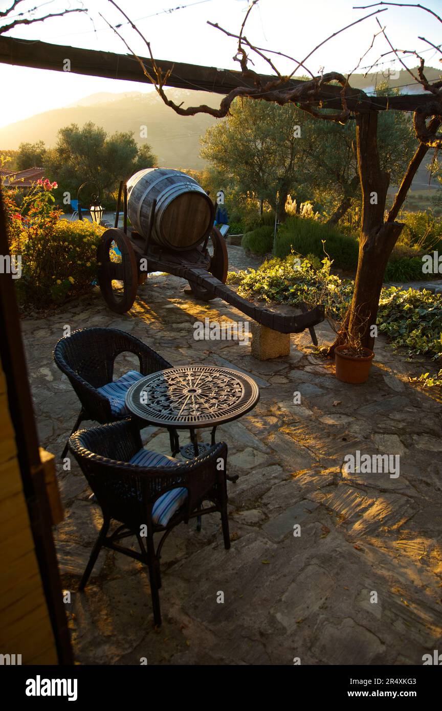 Tavolo, due sedie e una botte di vino immersa nella luce autunnale; valle del fiume Douro, Portogallo Foto Stock