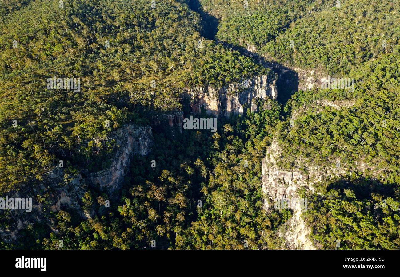 Carnarvon National Park situato nel bioregione della cintura di Brigalow meridionale nella regione di Maranoa nel Queensland centrale dell'Australia, due bacini sedimentari, Foto Stock