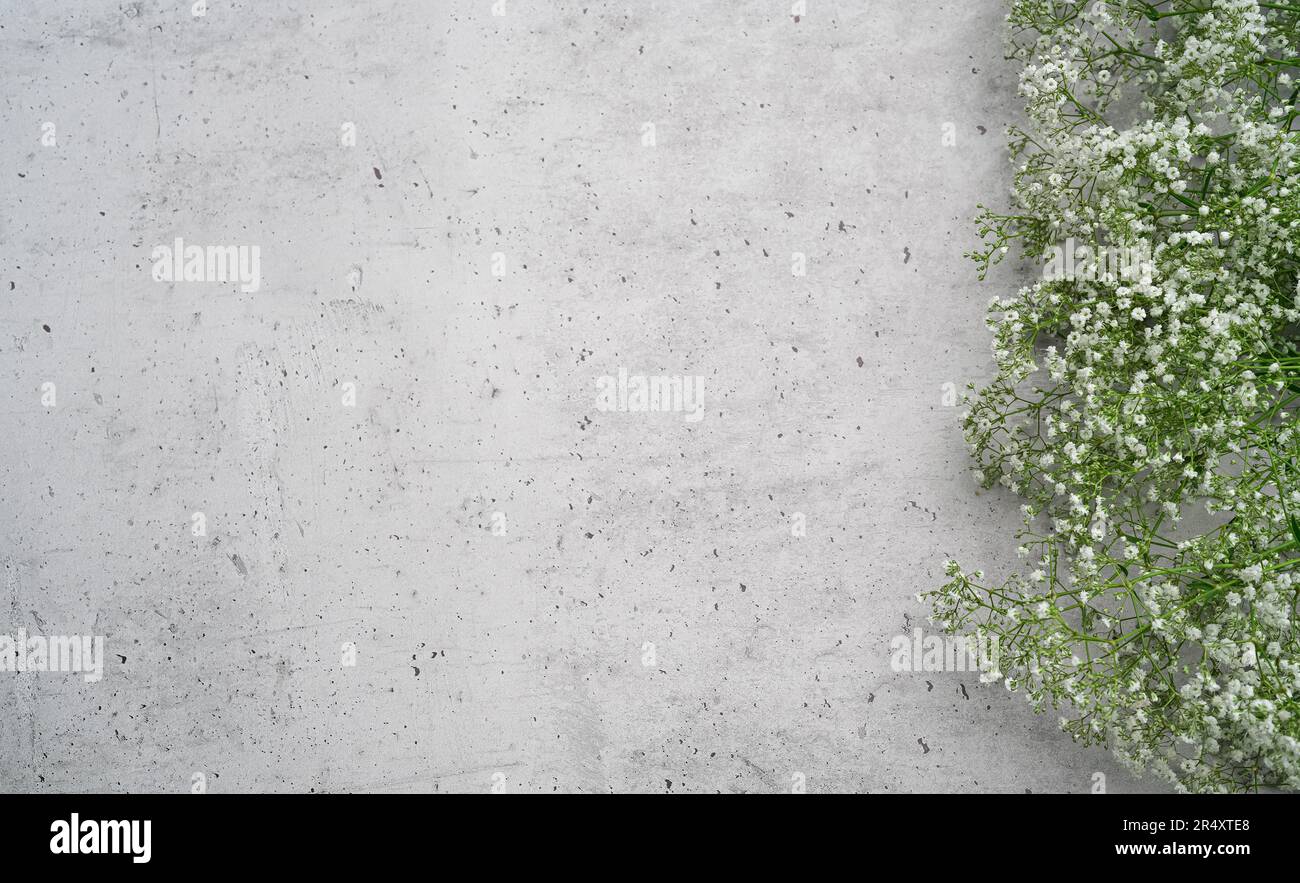 Telaietto floreale Gypsofila, composizione dei fiori del respiro del bambino. Fiori bianchi e delicati su fondo in cemento. Piatto, vista dall'alto, astratto, fiori Foto Stock