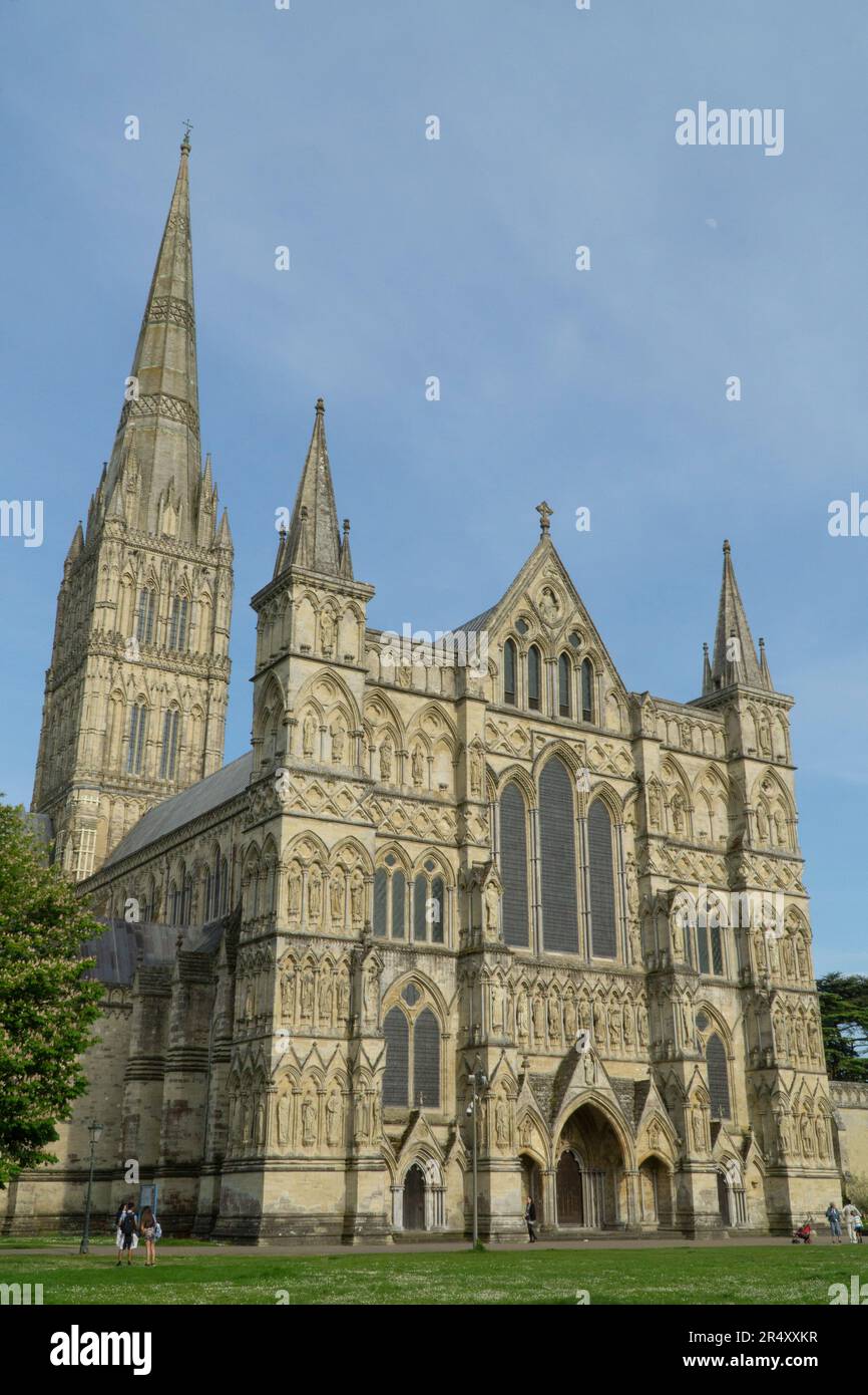 Salisbury Cattedrale nel tardo pomeriggio sole. Costruito tra il 1220 e il 1238, è noto per la sua guglia di 404 piedi (123m piedi). Anna Watson/Alamy Foto Stock