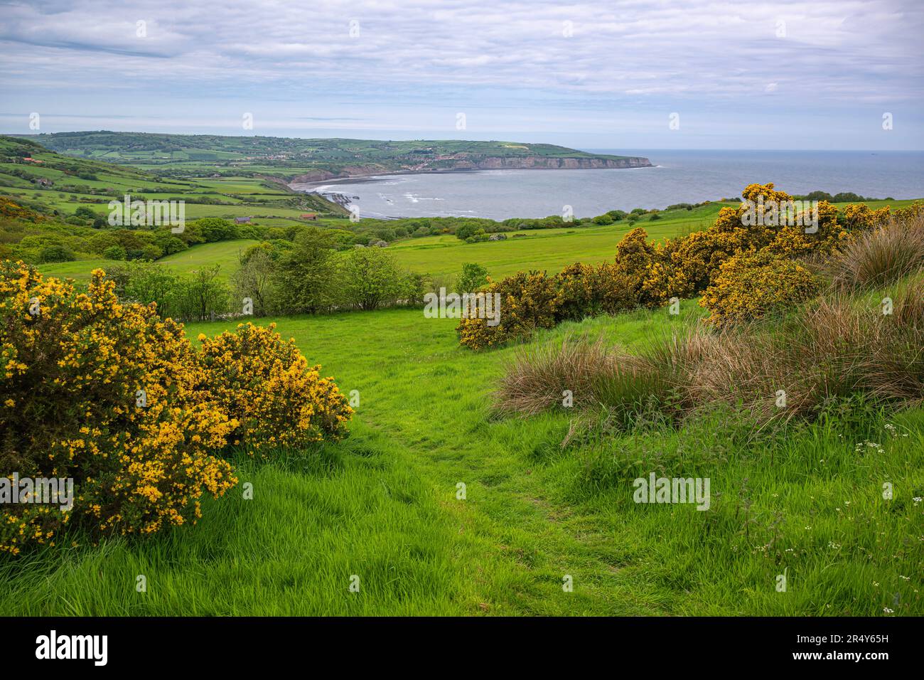 Una vista da Ravenscar verso Robin Hoods Bay lungo Cleveland Way, North Yorkshire, Regno Unito Foto Stock